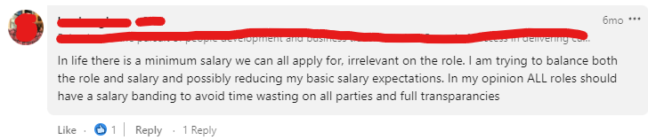 screenshot of a linkedin comment supporting pay transparency and talking of the balance of not wasting time